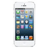 Apple iPhone 5 16Gb white - Щёкино