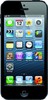 Apple iPhone 5 16GB - Щёкино